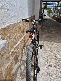 Bici Bottecchia Fx125 