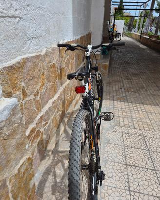 Bici Bottecchia Fx125 