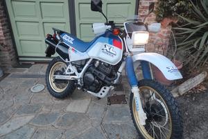 Honda XL600LM 