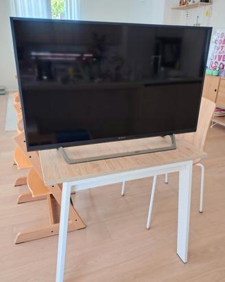 Sony TV 40" full HD