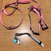 Guinzaglio con pettorina e collare gatto