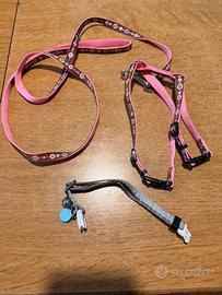 Guinzaglio con pettorina e collare gatto