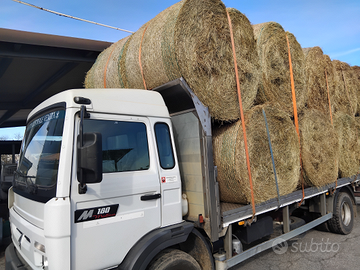 Camion trasporto foraggio