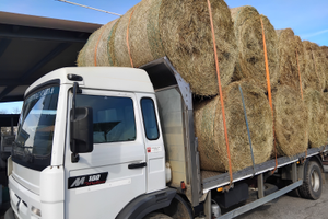 Camion trasporto foraggio