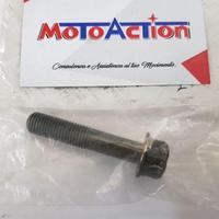 Bullone Carter Motore Yamaha V MAX 1200