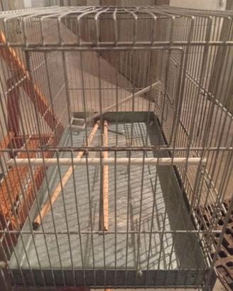 Gabbia per uccellini