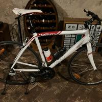 Wilier Asolo Tg L stupenda
