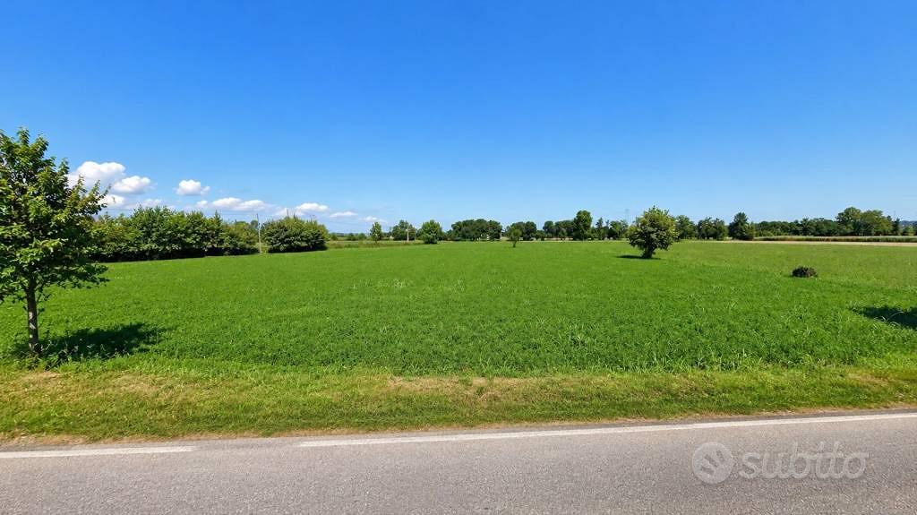 Terreno di 4360 m² a Lonato del Garda - Altro