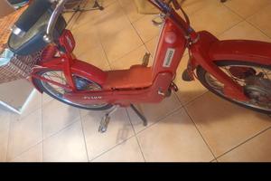 motorino ciao 