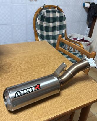 Terminale dominator