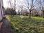 Immagine 19