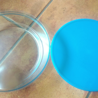 Piatto Tupperware Linea 3S