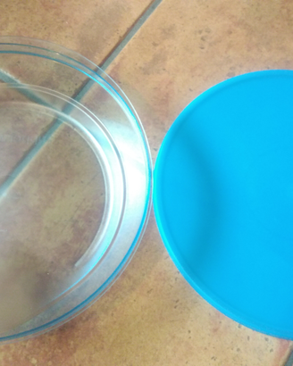 Piatto Tupperware Linea 3S
