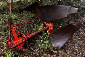 Aratro volta orecchio