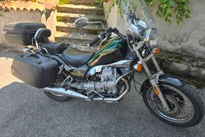 nevada 750