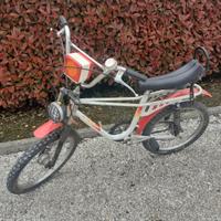 Biciclettata vintage bambino