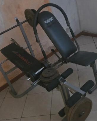 palestra 