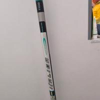 canna da pesca italica spark 11 metri