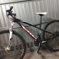 MTB bulls 29