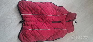 cappottino cani piccola taglia