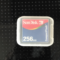 Sandisk 256Mb compact flash scheda memoria