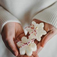 Candela di Natale Cera di soia