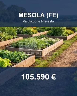 Immobile in asta di 84545 m² a Mesola