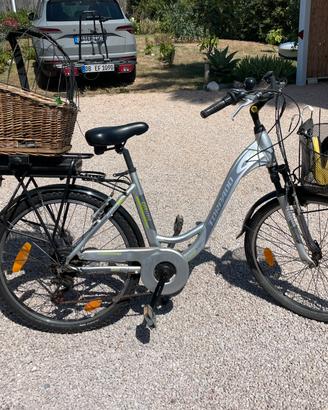 Bicicletta elettrica torpado