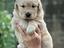 Immagine 14