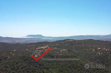 Terreno Agricolo Località Muddizza Piana