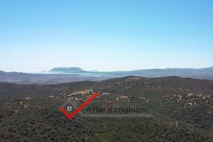 Terreno Agricolo Località Muddizza Piana