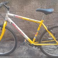 bici uomo 26 pollici mountain bike