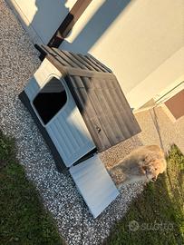 Cuccia per cani taglia grande