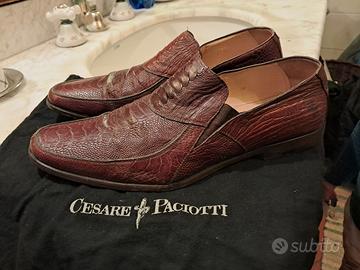 scarpe cesare paciotti pelle coccodrillo 