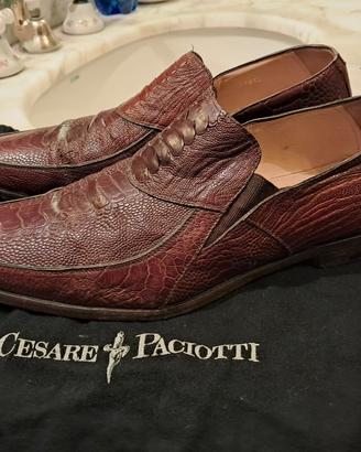 scarpe cesare paciotti pelle coccodrillo 