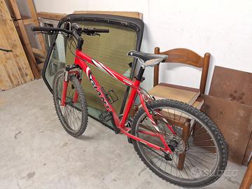 bicicletta Giant