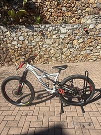 bici enduro specialized