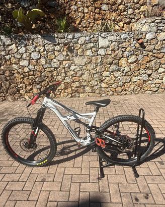bici enduro specialized