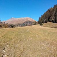 Ponte di legno mq63701
