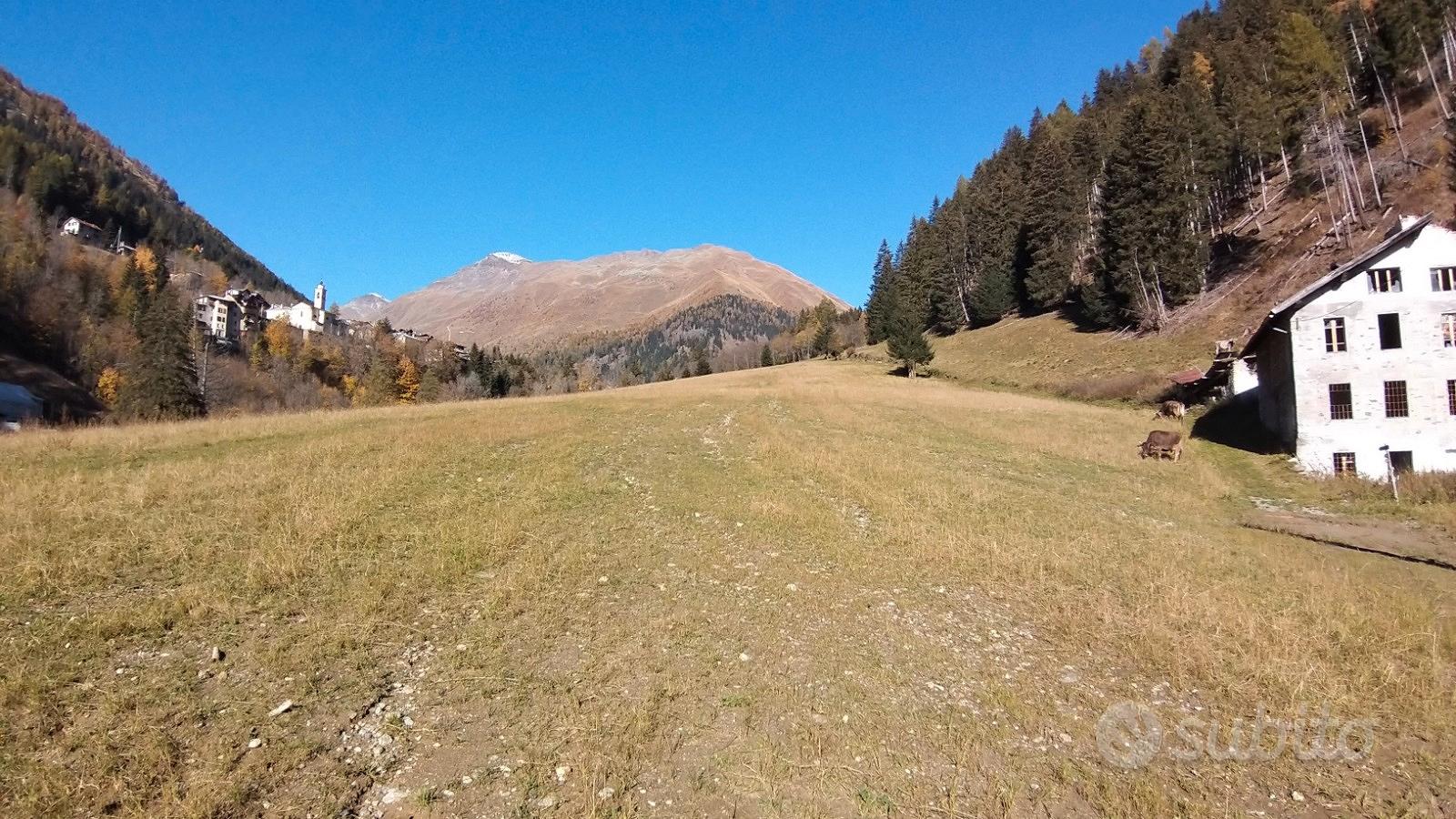 Zeme, 63701 m²