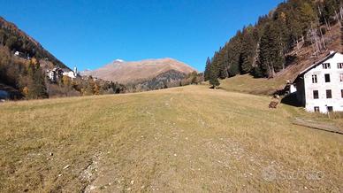 Ponte di legno mq63701