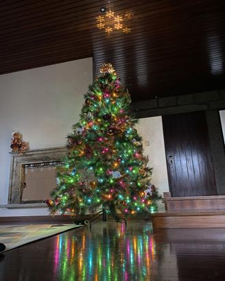 Albero di Natale + Decorazioni