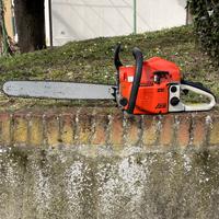 MOTOSEGA BARRA 50 CM