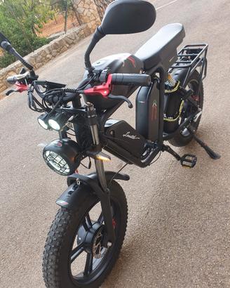 bicicletta elettrica 