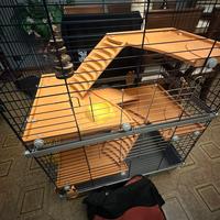 Accessori per animali