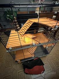 Accessori per animali