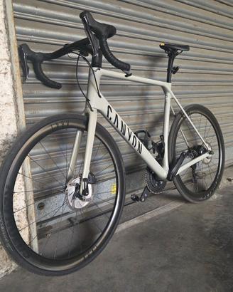 Canyon Endurace