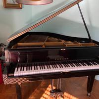 Pianoforte a coda