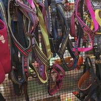 Accessoristica per animali