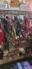Accessoristica per animali